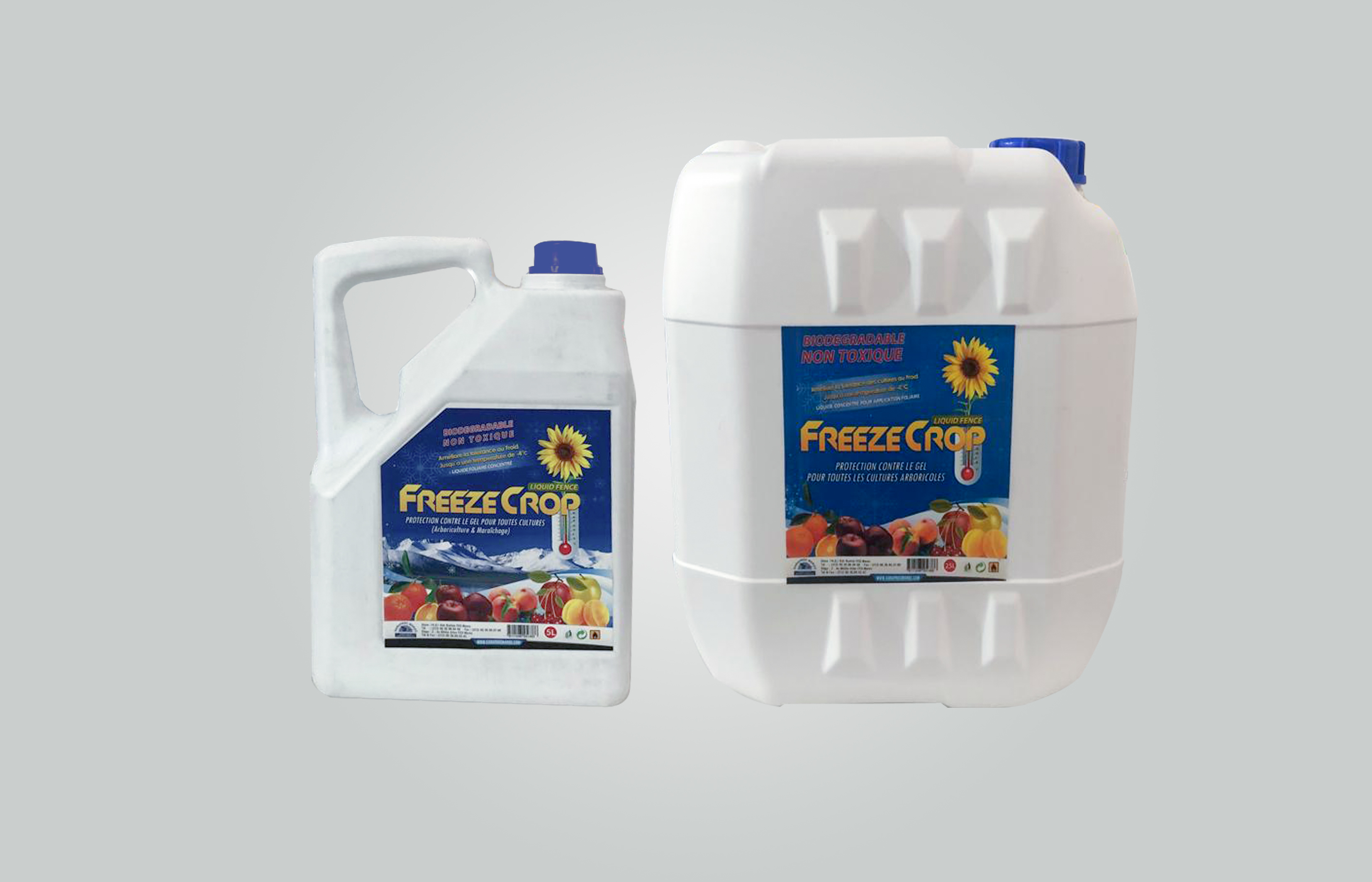 FREEZE CROPS